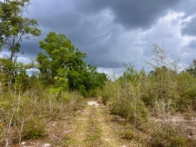 待售: $195,000 (20.00 acres)