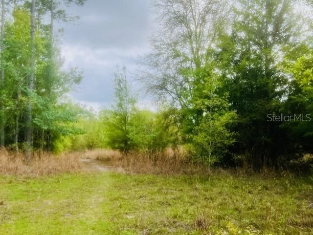 待售: $195,000 (20.00 acres)