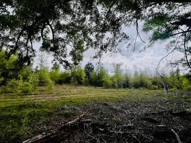 待售: $195,000 (20.00 acres)