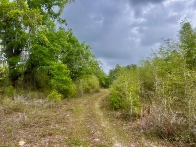 待售: $195,000 (20.00 acres)