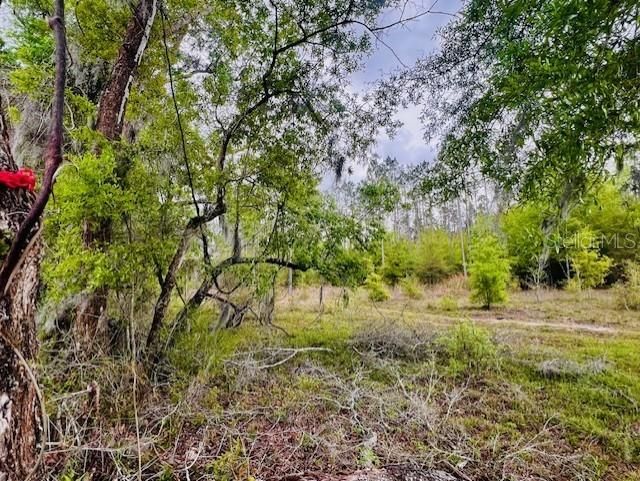 待售: $195,000 (20.00 acres)