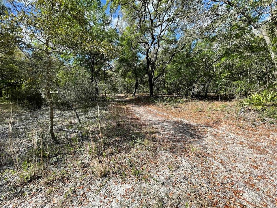 待售: $385,000 (3 贝兹, 2 浴室, 1296 平方英尺)