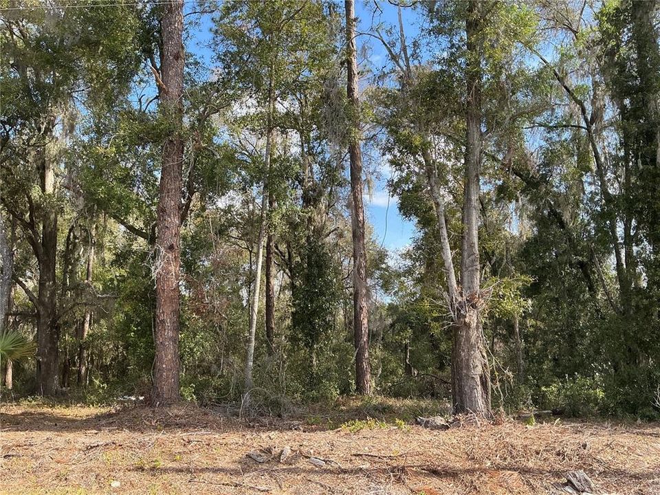 Vendido Recientemente: $29,450 (0.24 acres)