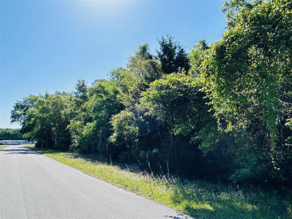 For Sale: $190,000 (0.94 acres)