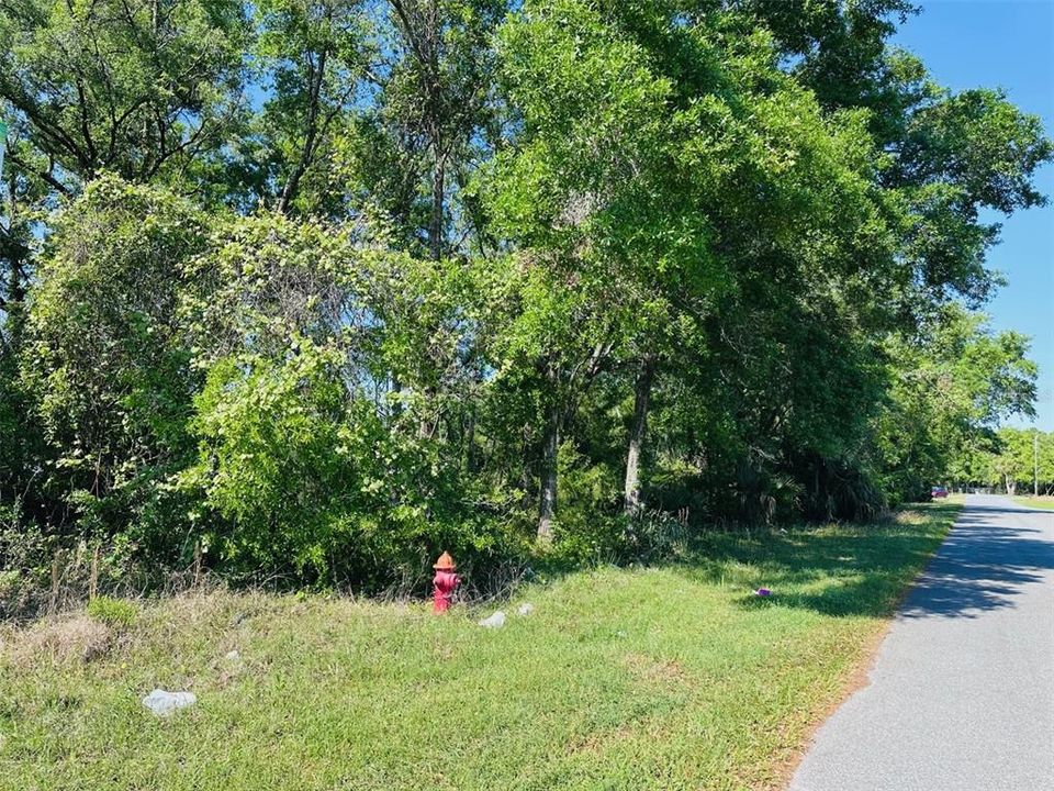 For Sale: $190,000 (0.94 acres)