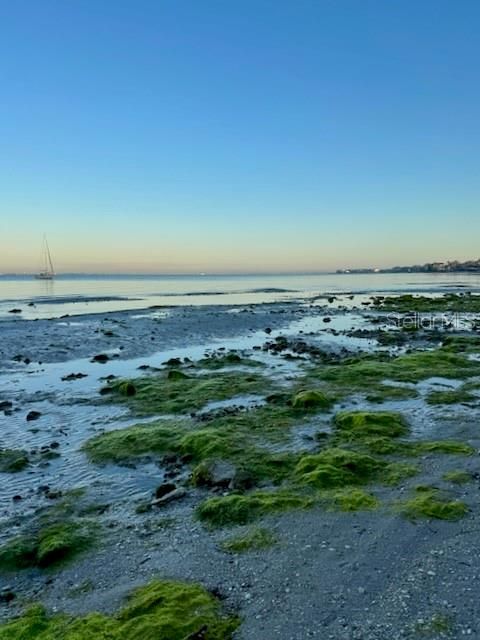 For Sale: $1,699,000 (3 beds, 2 baths, 2974 Square Feet)