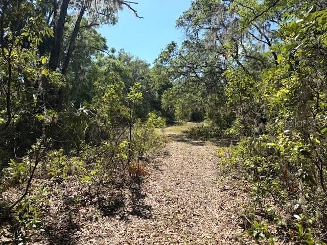 Под контрактом: $43,500 (1.00 acres)