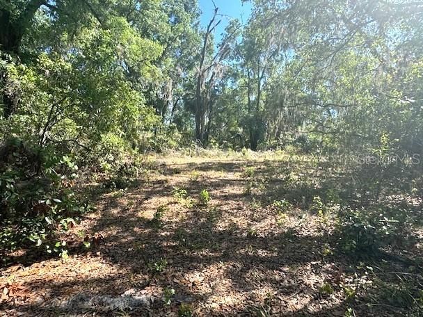 Под контрактом: $43,500 (1.00 acres)