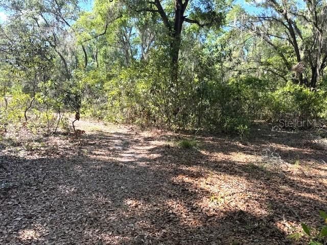 Под контрактом: $43,500 (1.00 acres)