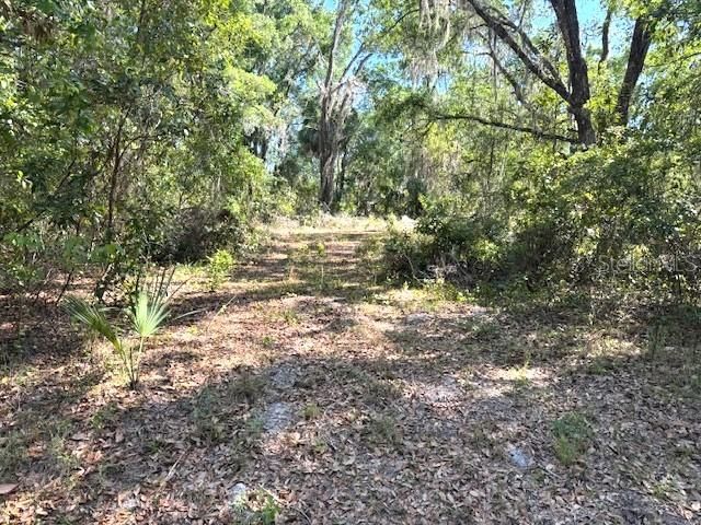 Под контрактом: $43,500 (1.00 acres)