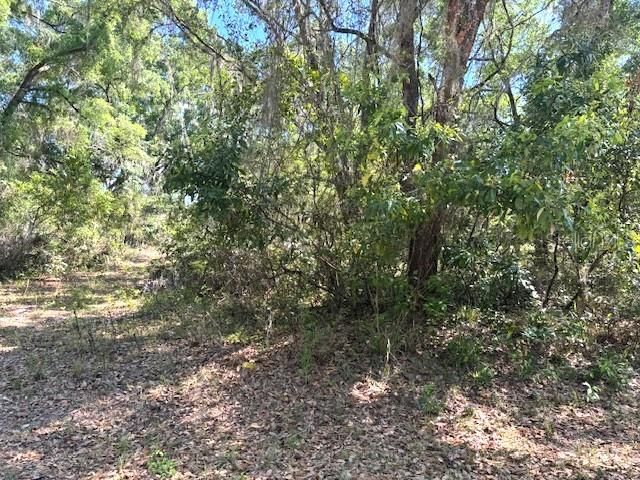 Под контрактом: $43,500 (1.00 acres)