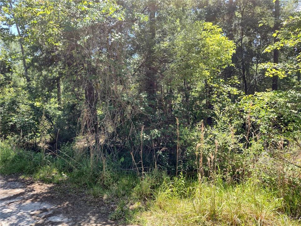 For Sale: $11,250 (0.42 acres)