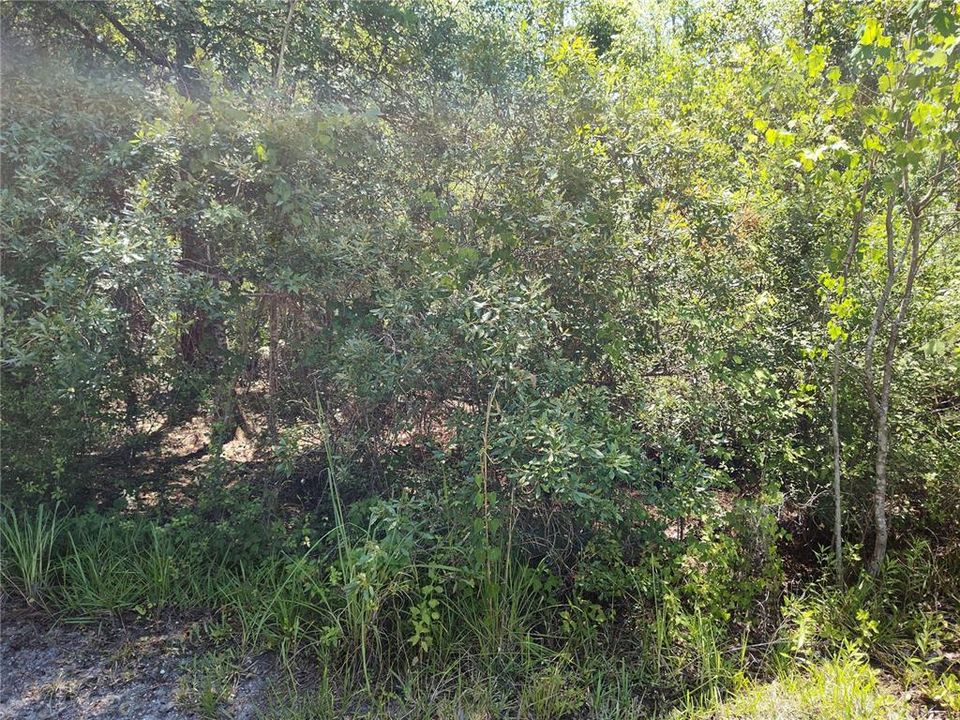 For Sale: $11,250 (0.42 acres)