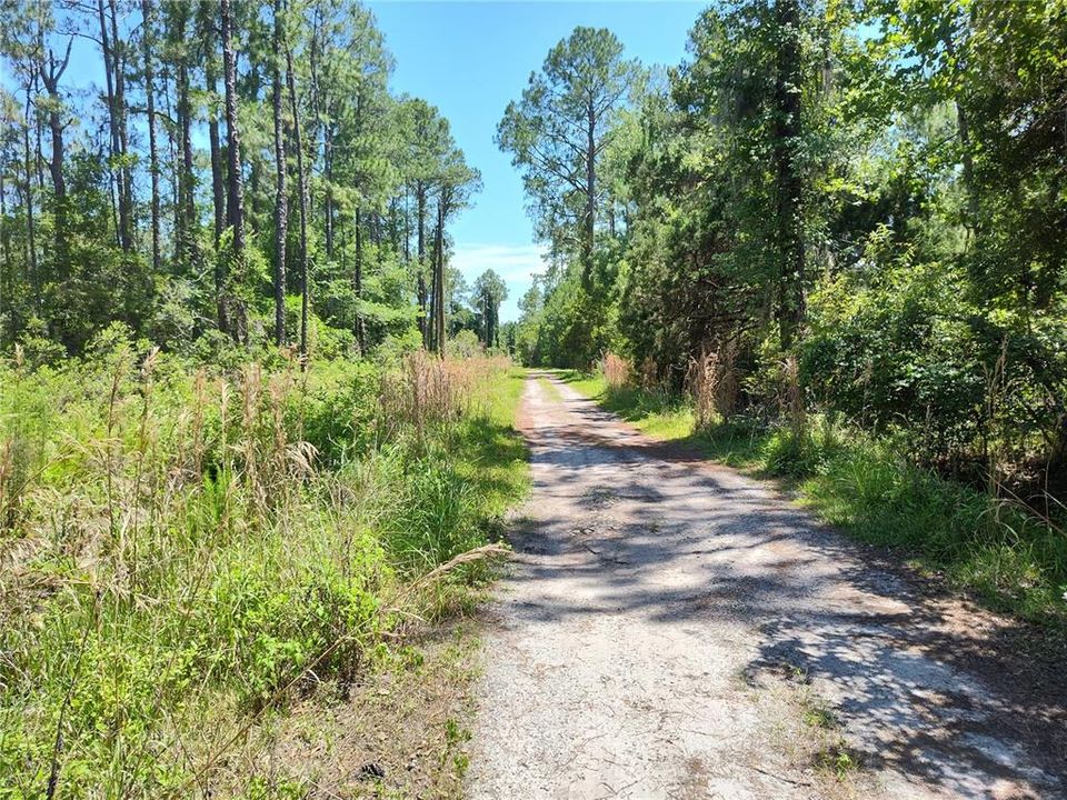 For Sale: $11,250 (0.42 acres)