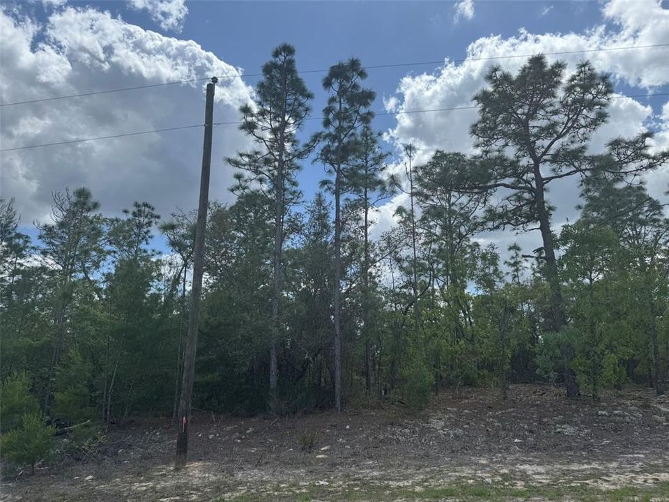 For Sale: $39,000 (0.23 acres)