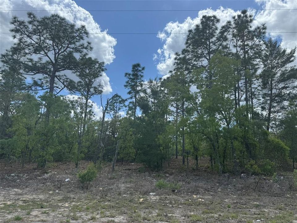 For Sale: $39,000 (0.23 acres)