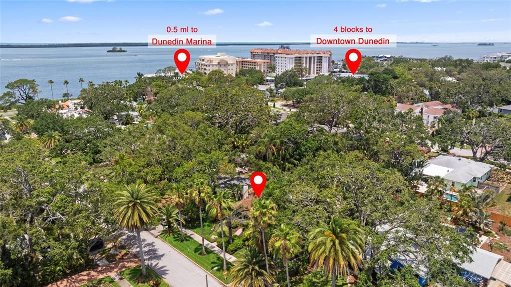 Proximity to Downtown Dunedin and the Marina!