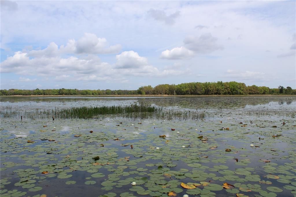 En Venta: $199,900 (5.24 acres)