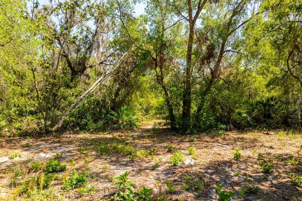 待售: $199,900 (5.24 acres)