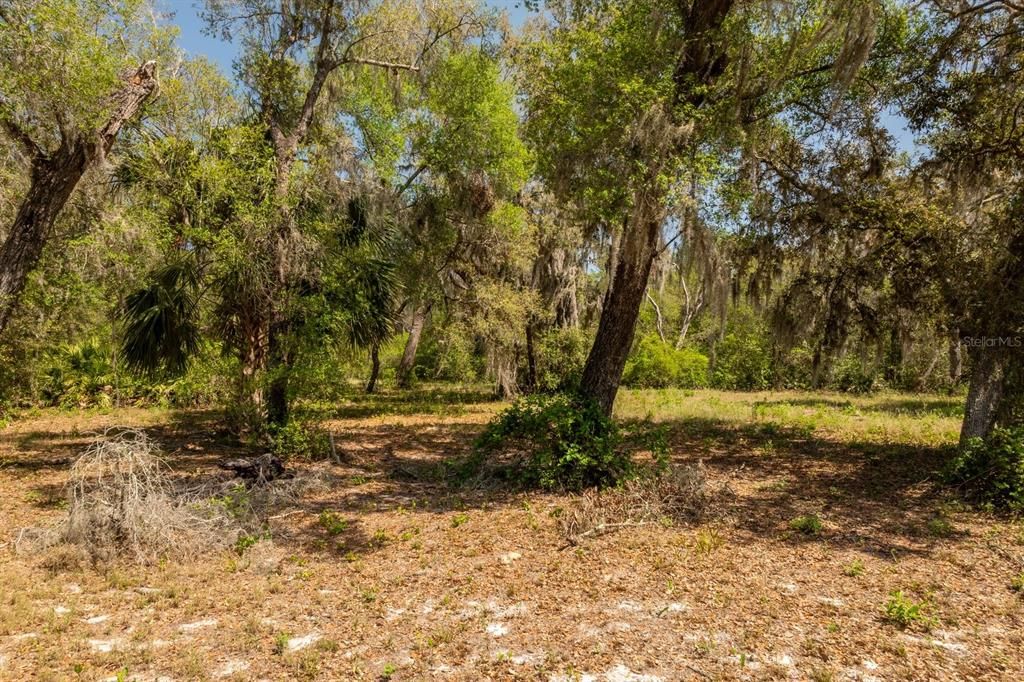 待售: $199,900 (5.24 acres)