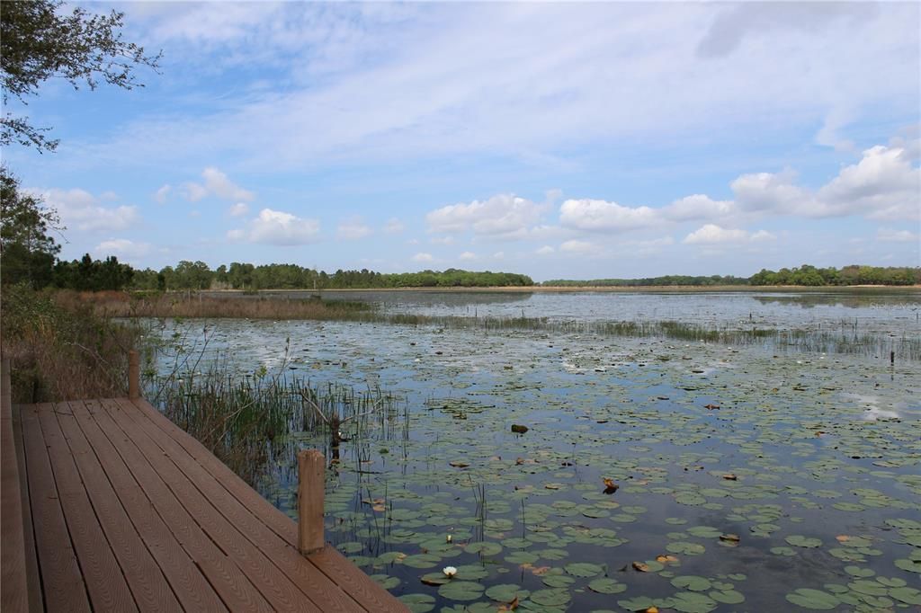 En Venta: $199,900 (5.24 acres)