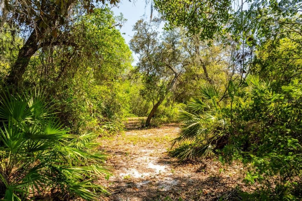 待售: $199,900 (5.24 acres)