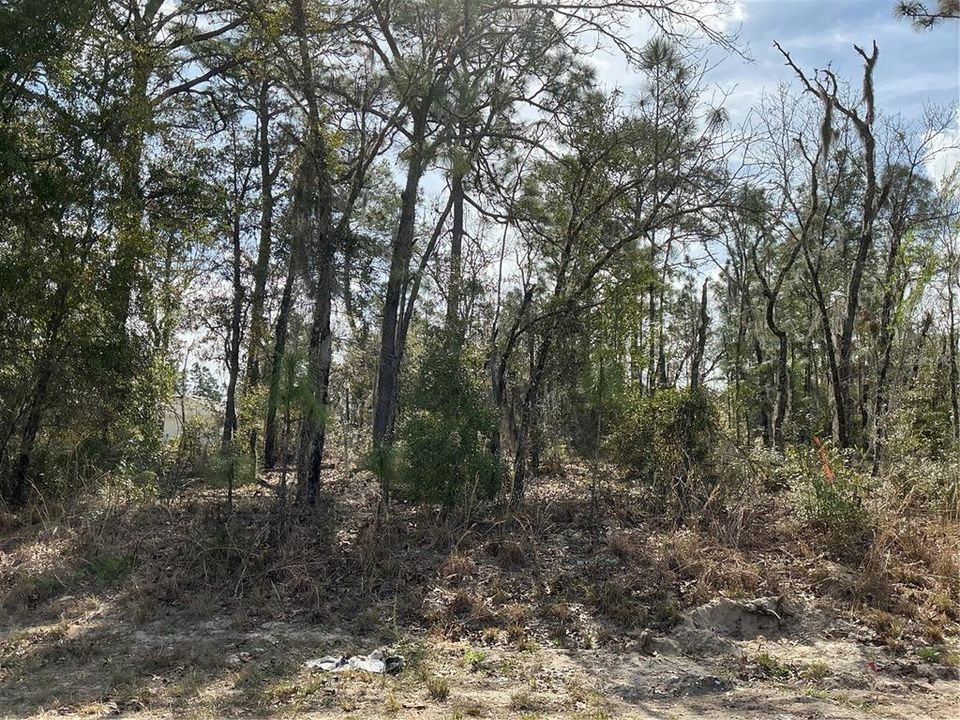 Vendido Recientemente: $26,450 (0.23 acres)