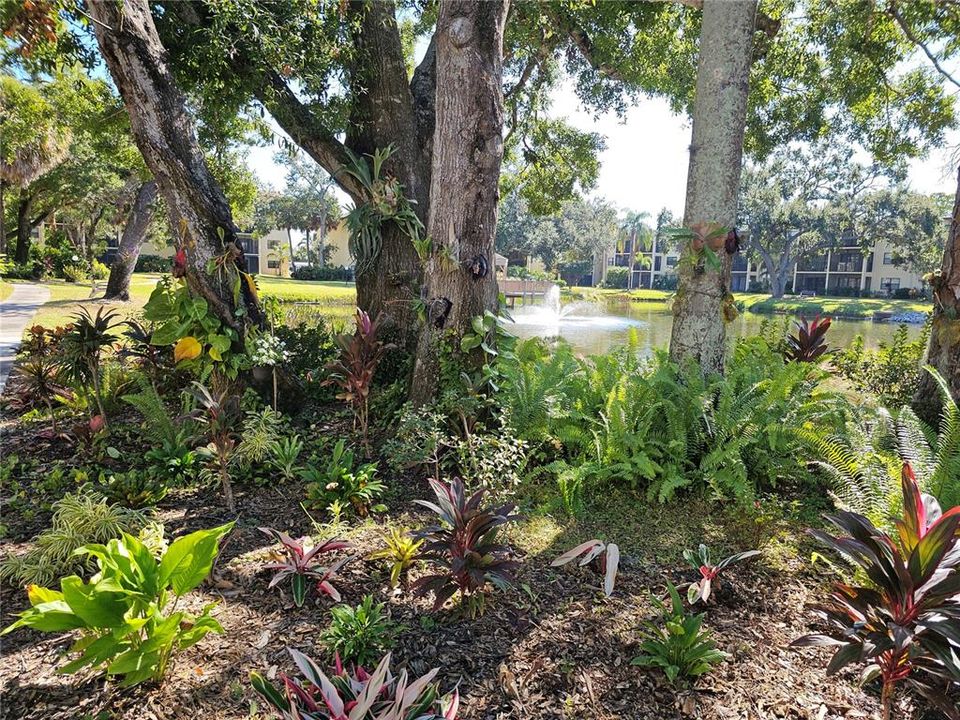 En Venta: $99,900 (2 camas, 2 baños, 1050 Pies cuadrados)