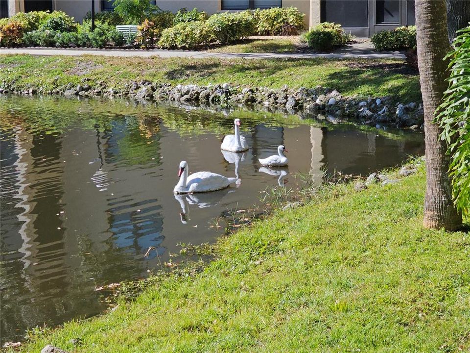 En Venta: $99,900 (2 camas, 2 baños, 1050 Pies cuadrados)