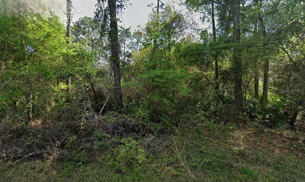 En Venta: $27,500 (3.05 acres)