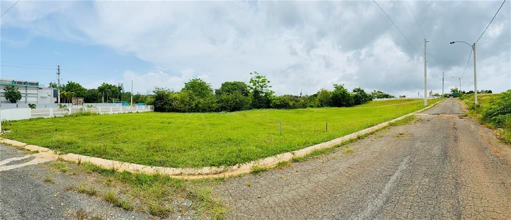 For Sale: $95,000 (0.25 acres)
