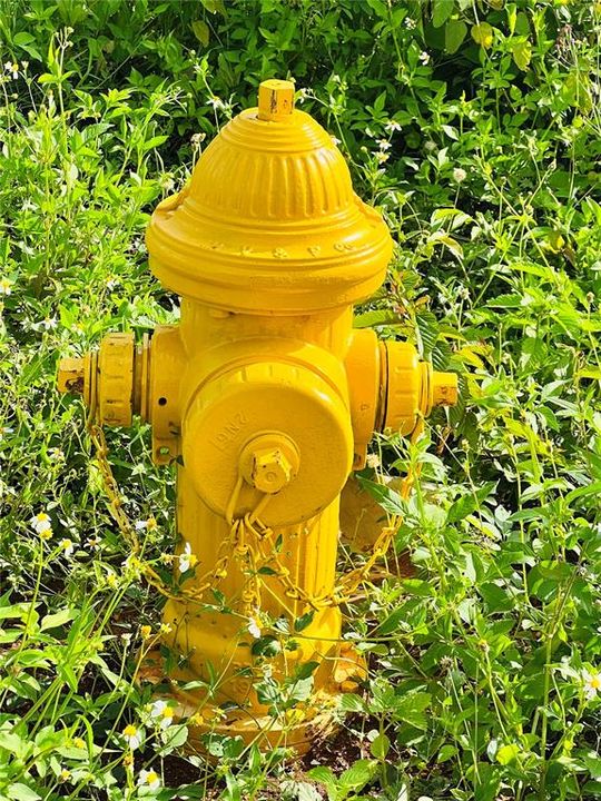 For Sale: $95,000 (0.25 acres)