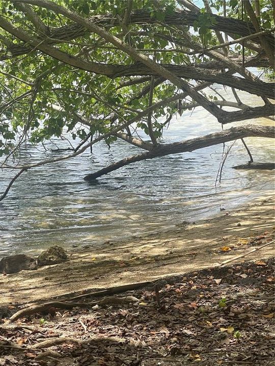 For Sale: $95,000 (0.25 acres)