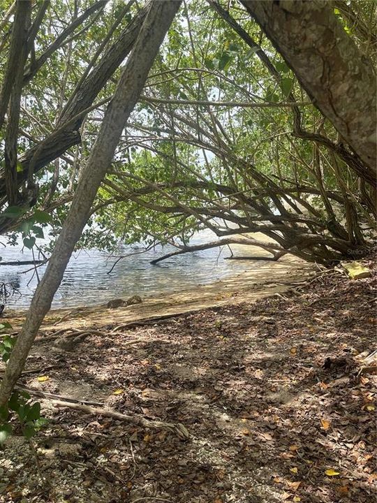 For Sale: $95,000 (0.25 acres)