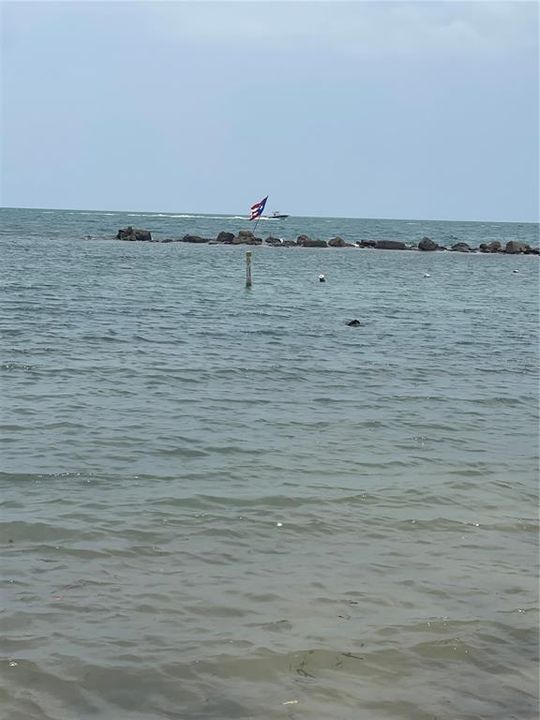 For Sale: $95,000 (0.25 acres)