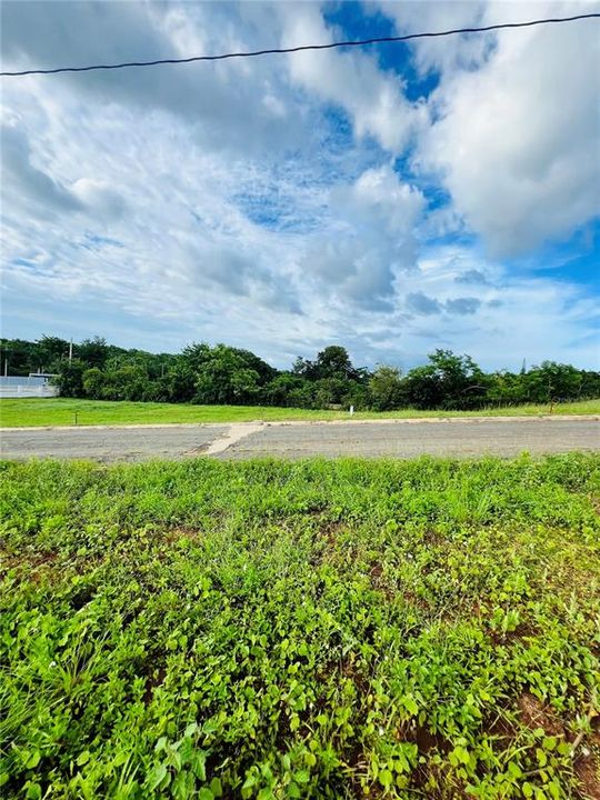 For Sale: $95,000 (0.25 acres)