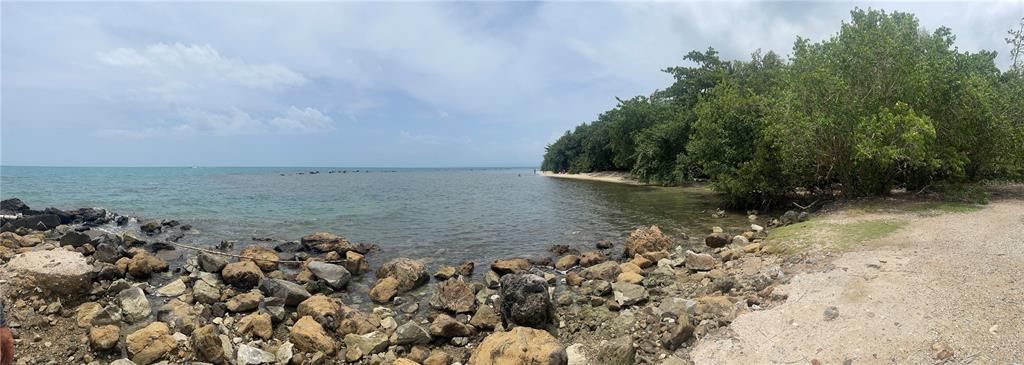 For Sale: $95,000 (0.25 acres)