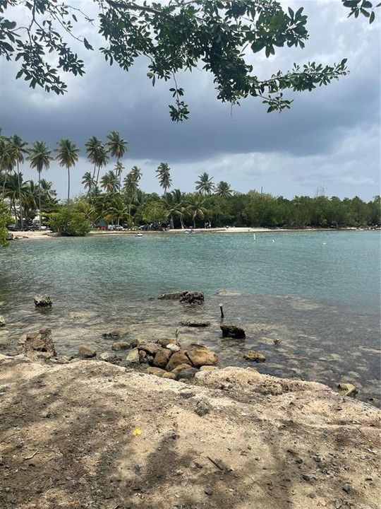 For Sale: $95,000 (0.25 acres)