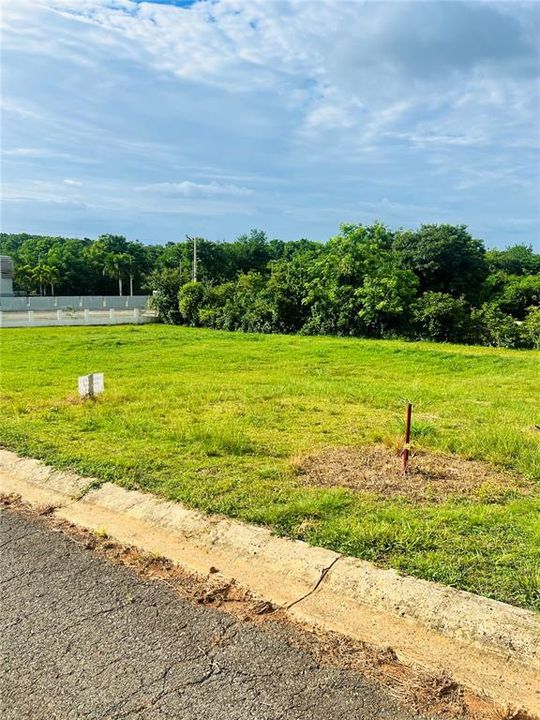 For Sale: $95,000 (0.25 acres)