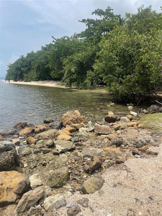 For Sale: $95,000 (0.25 acres)