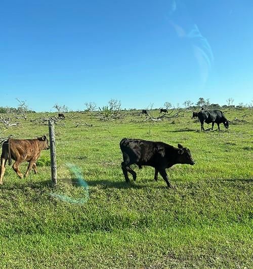 En Venta: $3,785,500 (4 camas, 1 baños, 2437 Pies cuadrados)