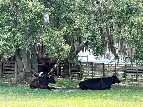 En Venta: $3,785,500 (4 camas, 1 baños, 2437 Pies cuadrados)