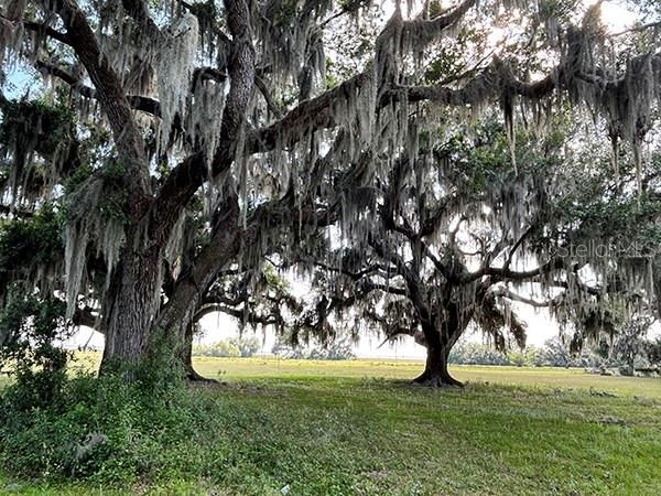 En Venta: $3,785,500 (4 camas, 1 baños, 2437 Pies cuadrados)