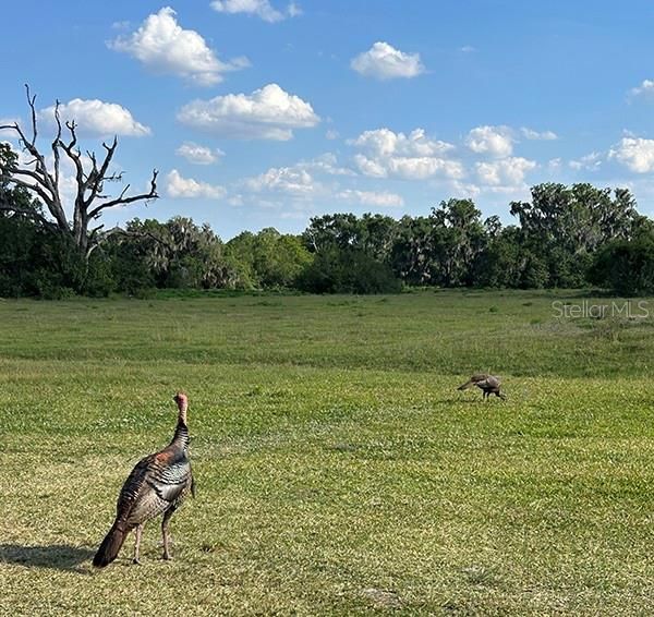 En Venta: $3,785,500 (4 camas, 1 baños, 2437 Pies cuadrados)