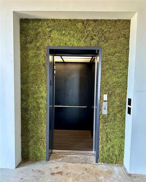 На продажу: $60,000 (0 спален, 0 ванн, 40514 Квадратных фут)