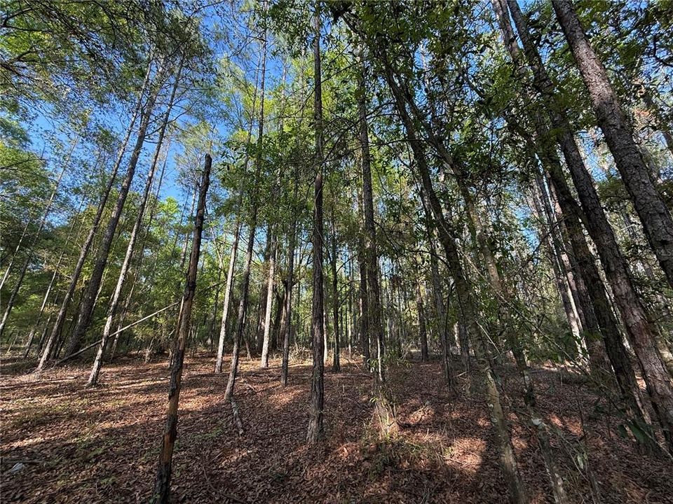 最近售出: $443,080 (20.14 acres)