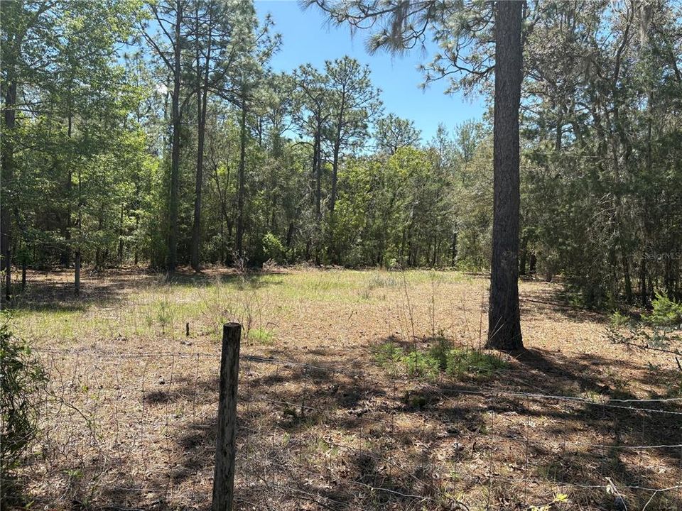 Active With Contract: $199,000 (3 beds, 1 baths, 732 Square Feet)