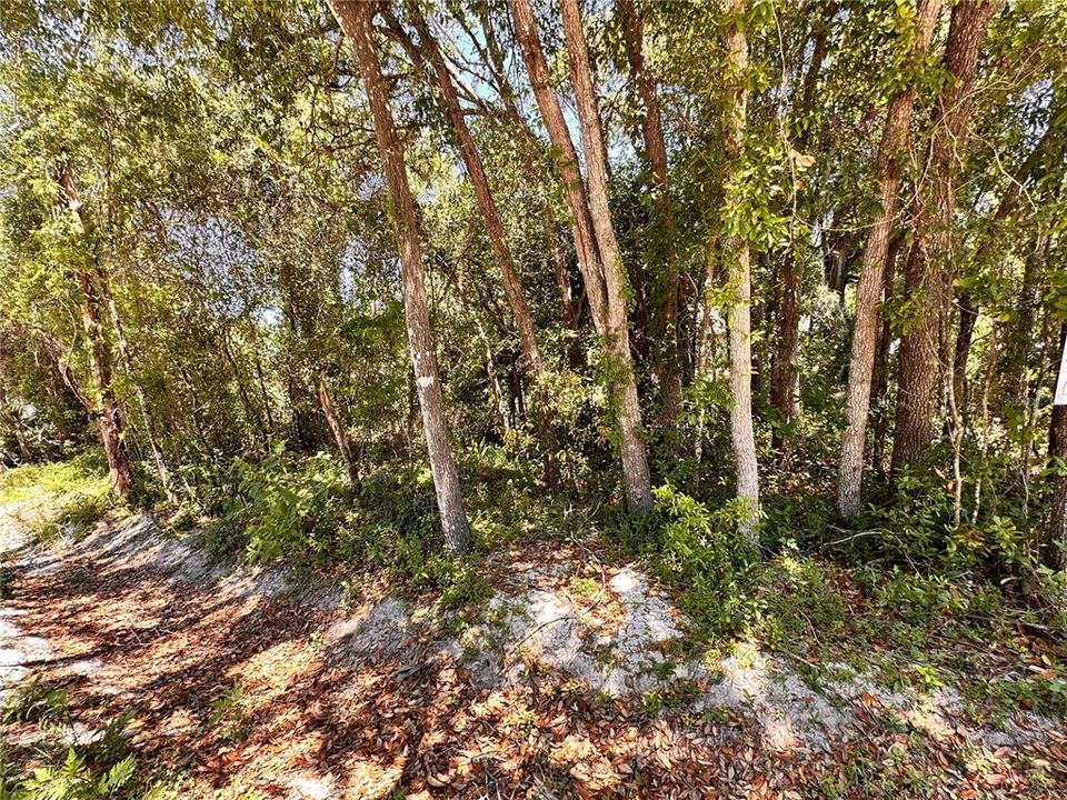 待售: $10,000 (0.06 acres)