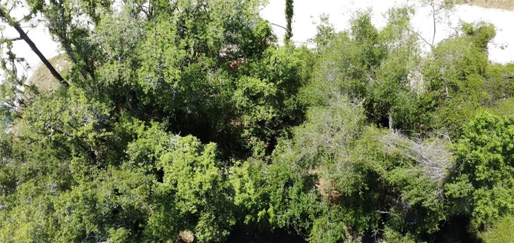 待售: $10,000 (0.06 acres)