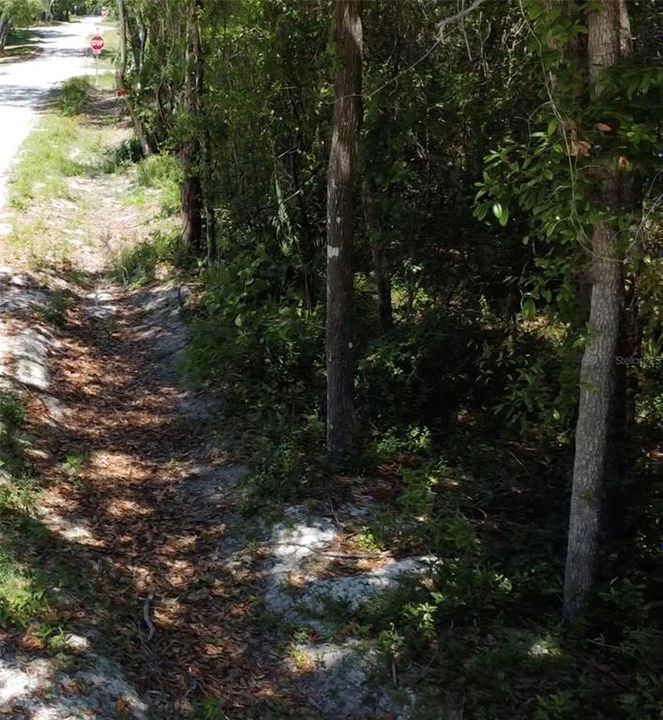 待售: $10,000 (0.06 acres)